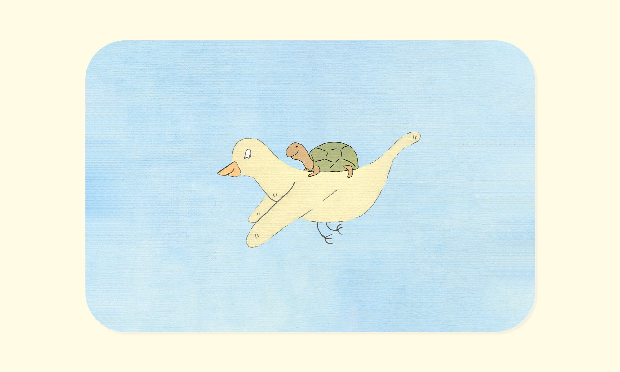 #Vogel, #Schildpad,#Kleuter #boeken